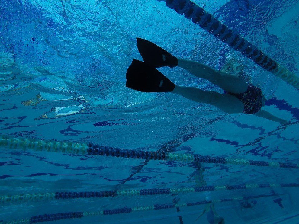 Details about   Court Flex Fins Swimming Pool Flexibility Workout Ankle Short Fin show original title 
