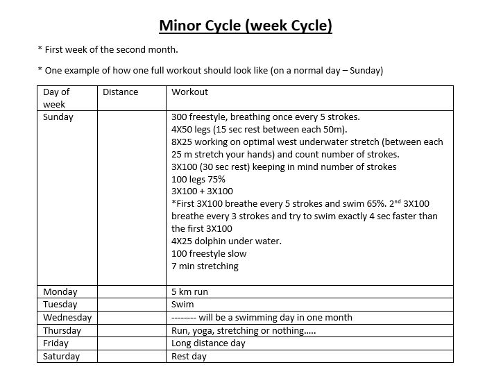 Swimming 2024 training programs