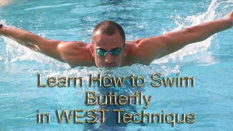 swim buttterfly