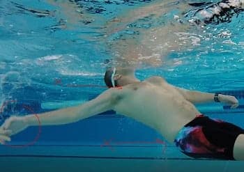 backstroke swimming essay